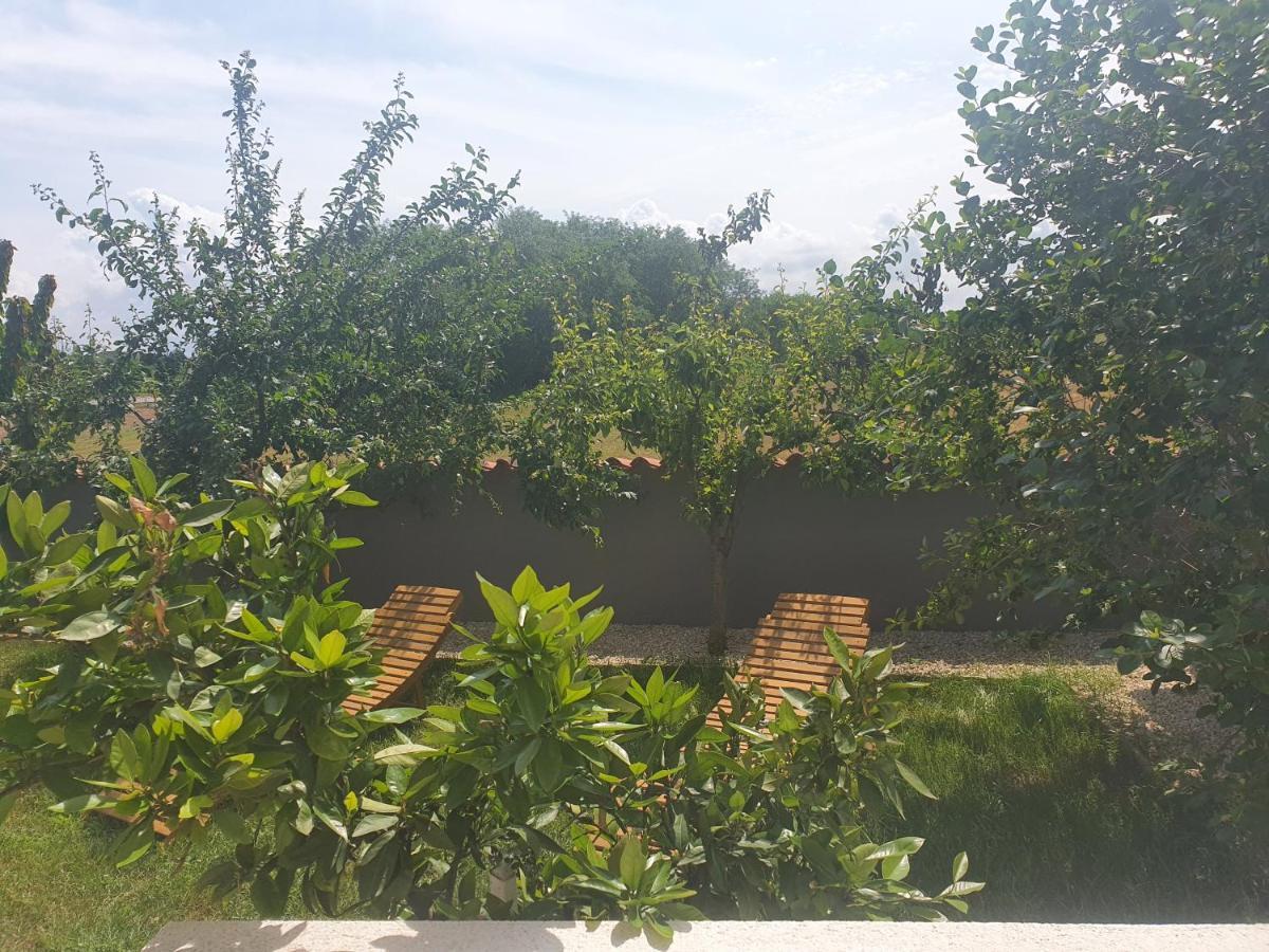 Villa Ancora Savudrija Ngoại thất bức ảnh