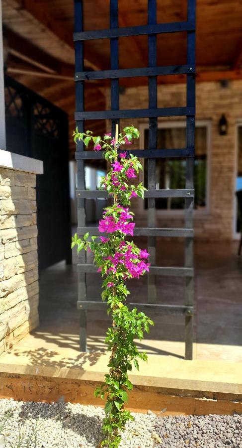 Villa Ancora Savudrija Ngoại thất bức ảnh